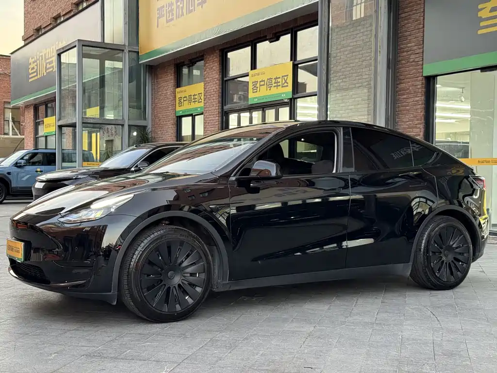 Tesla Model Y — миниатюра 4
