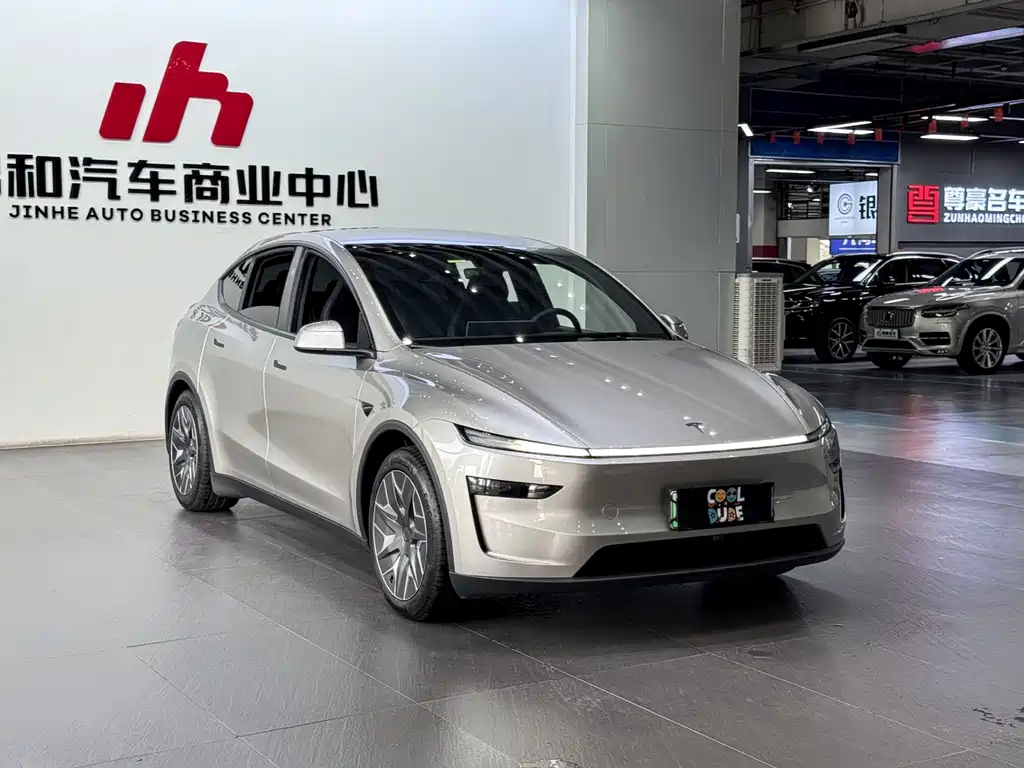 Tesla Model Y L — миниатюра 3