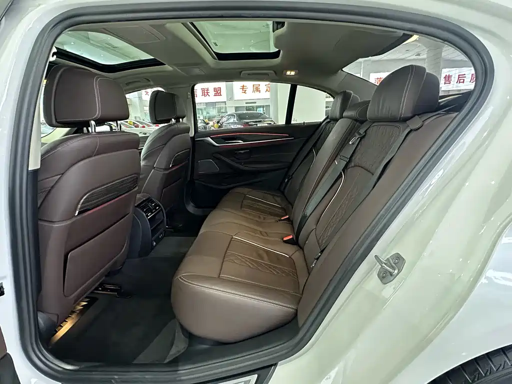 BMW 5 SERIES NEW ENERGY