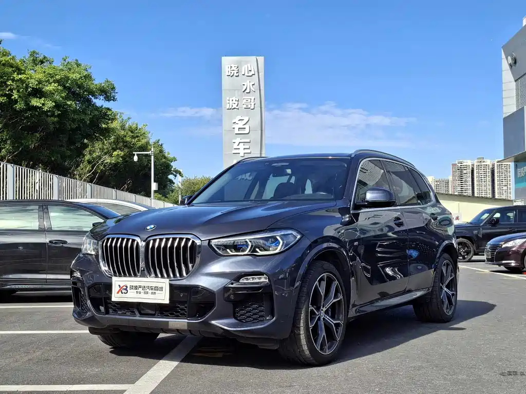 BMW X5