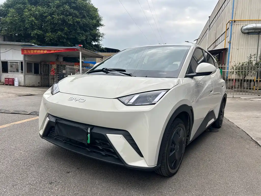 BYD Seagull
