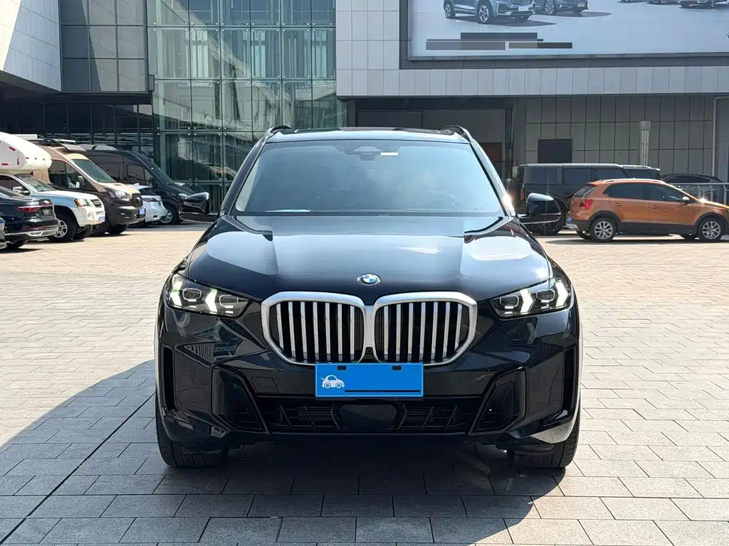 BMW X5 — миниатюра 2