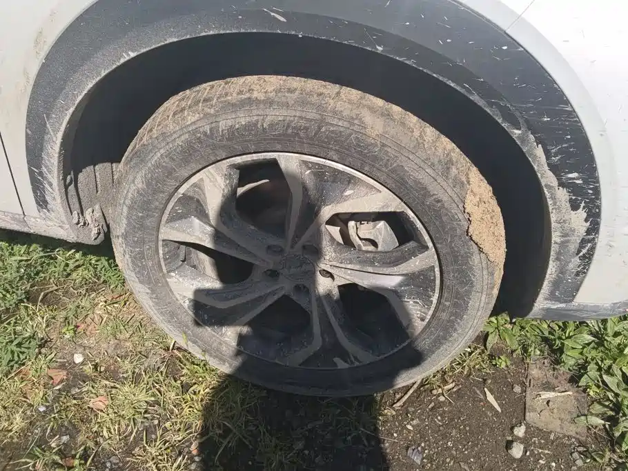 Haval Shenshou — миниатюра 6