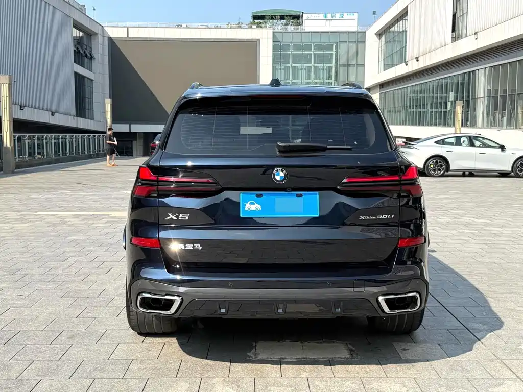 BMW X5 — миниатюра 9