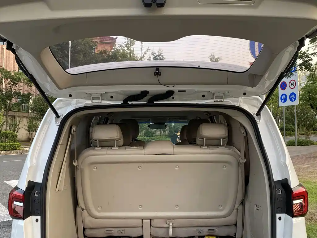 Buick GL8 — миниатюра 13