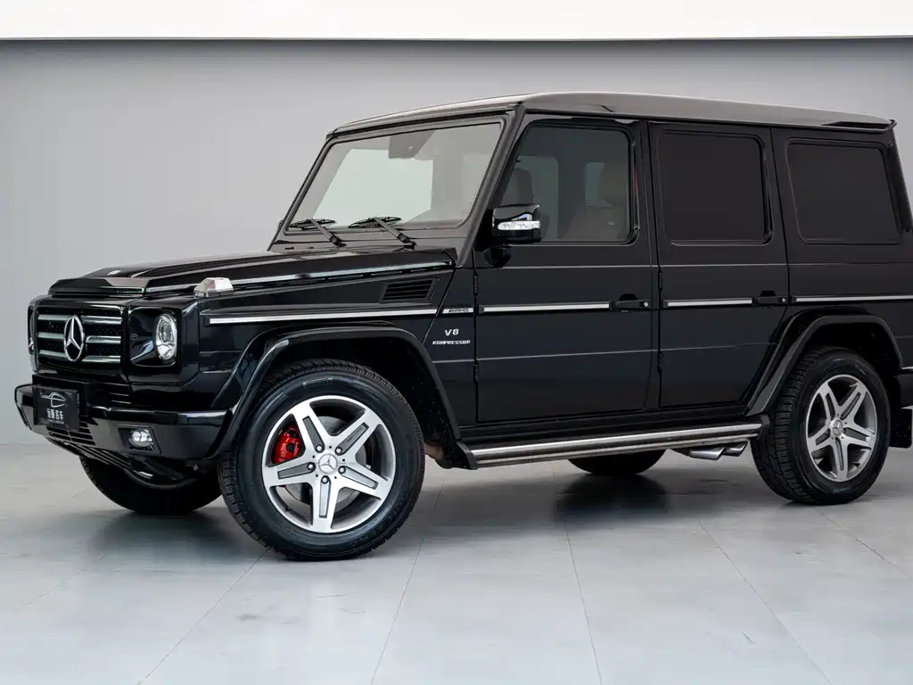Mercedes-Benz G-Class A MG G AMG 2009 AMG G 55