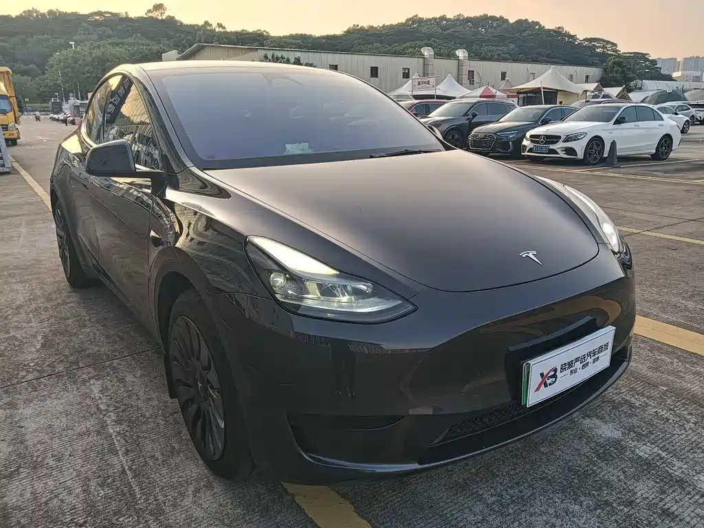 Tesla Model Y — миниатюра 3