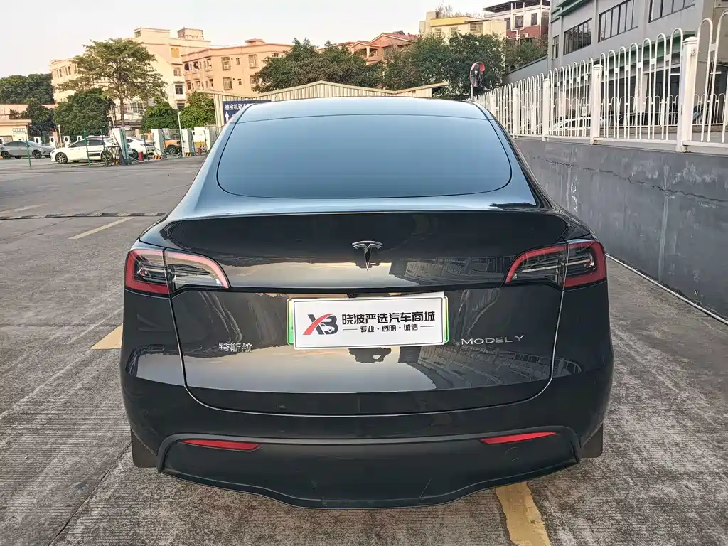 Tesla Model Y — миниатюра 5