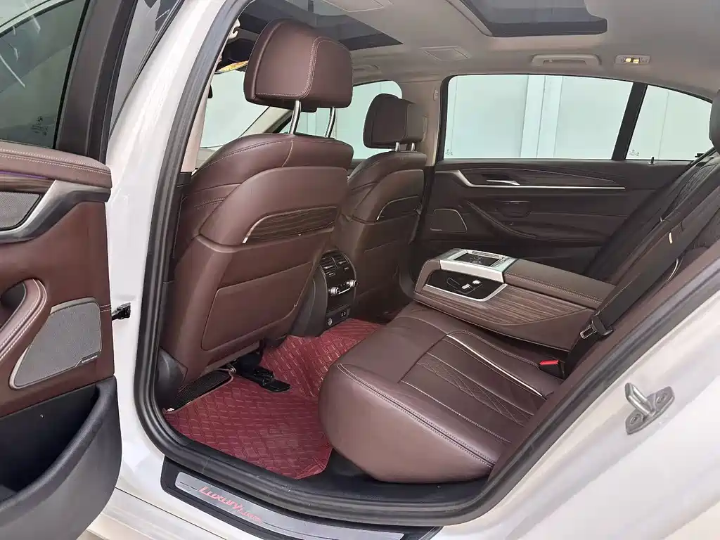 BMW 5 Series 5 2020 530Li Premium Luxury