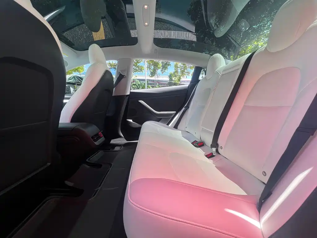 Tesla Model 3 2021 3D1