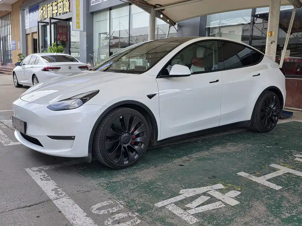 Tesla Model Y — миниатюра 2