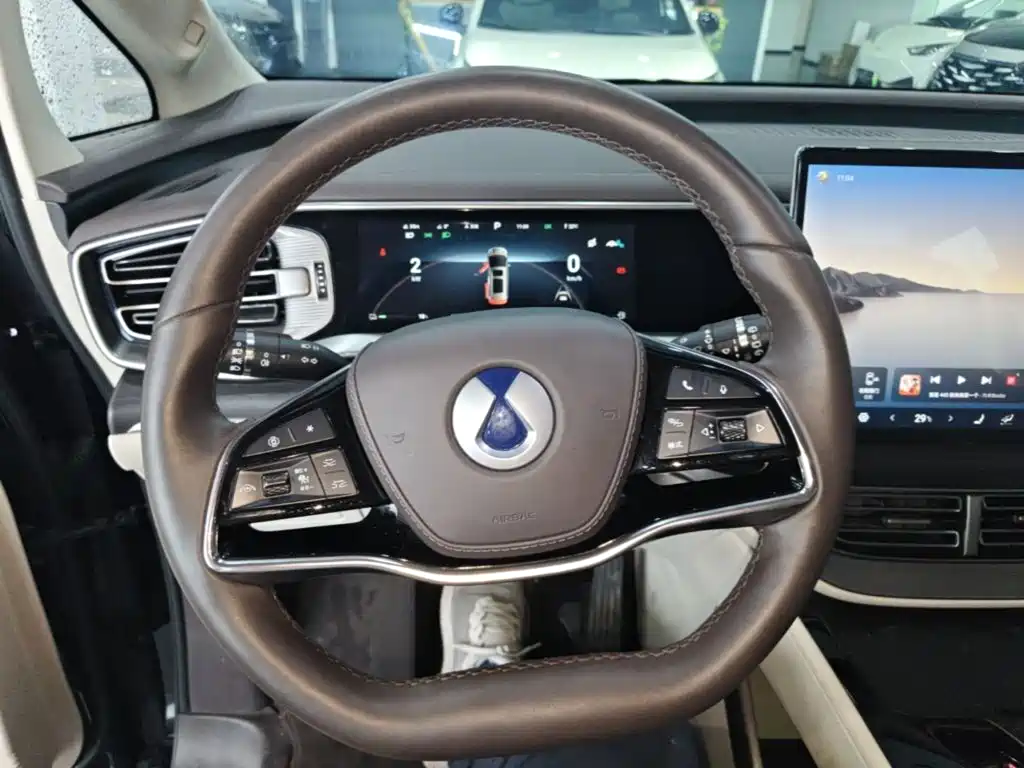 Denza Denza D9 — миниатюра 11