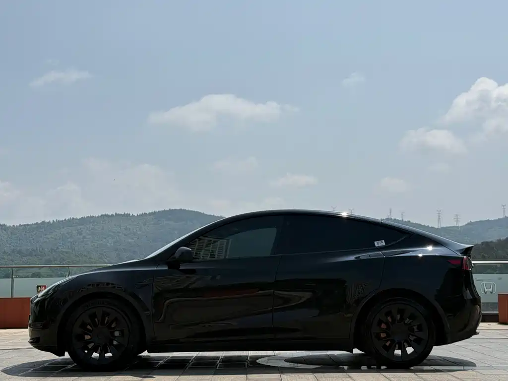 Tesla Model Y — фотографии объявления, Фото 10
