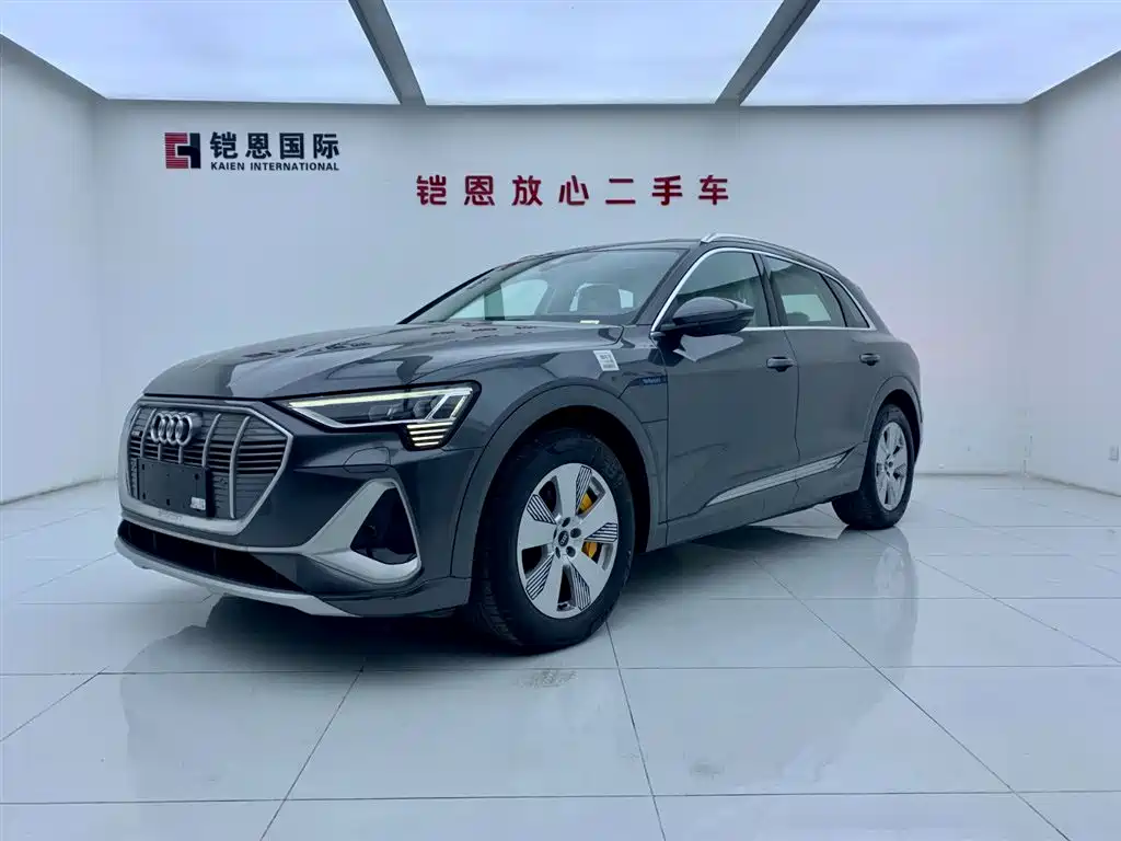 Audi e-tron 2021 50 quattro Luxury