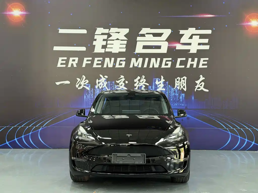 Tesla Model Y — миниатюра 2