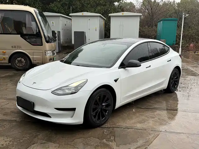 TESLA MODEL 3 2021