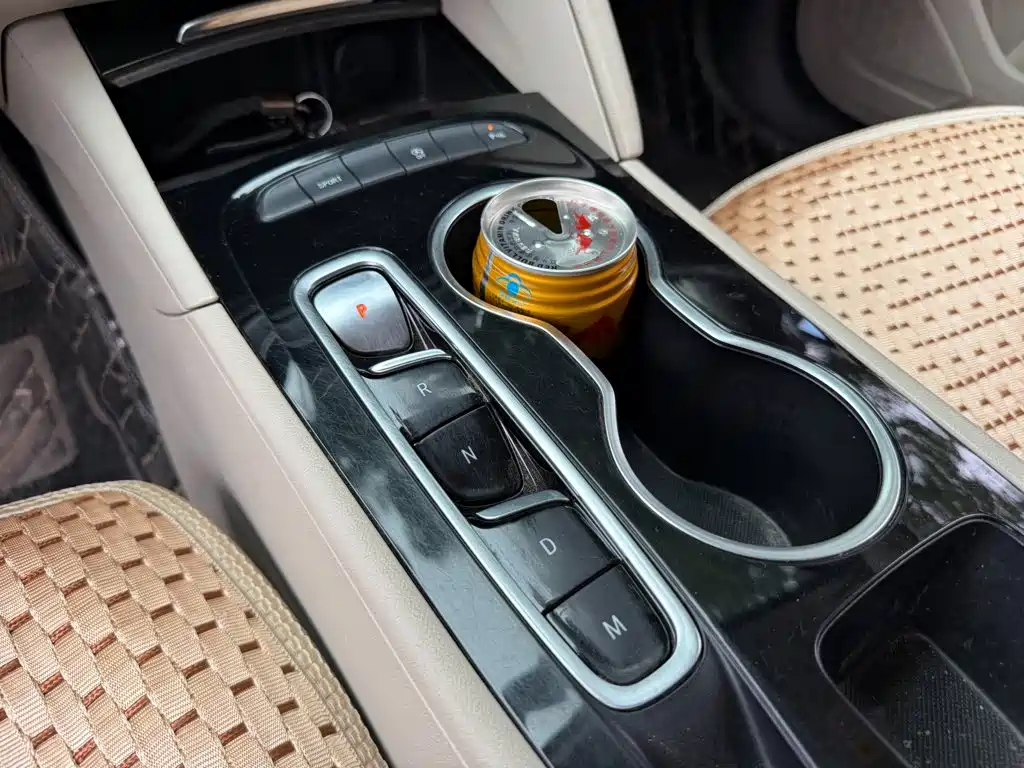 Buick Regal — миниатюра 9