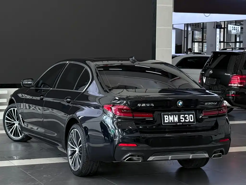 BMW 5 Series — миниатюра 4