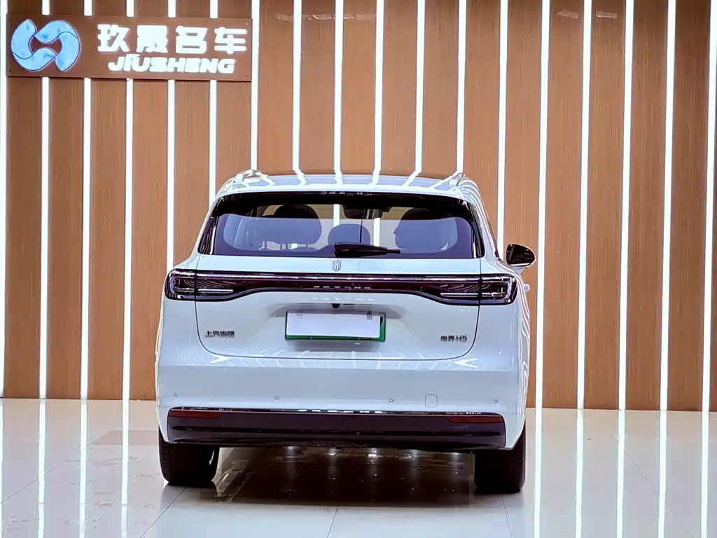 Shangjie Shangjie H5 — миниатюра 21