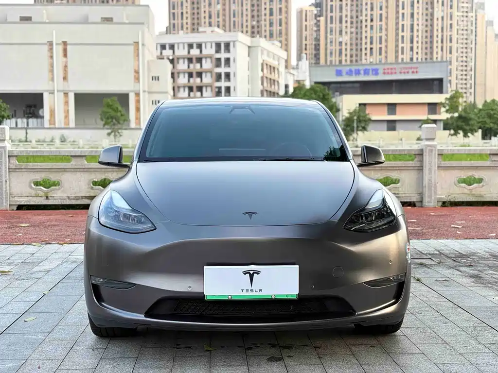 Tesla Model Y — миниатюра 2