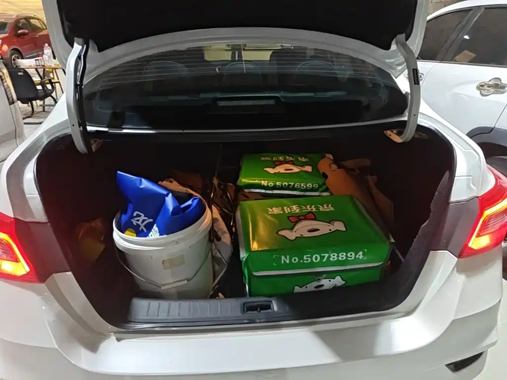 Nissan Sylphy — миниатюра 22