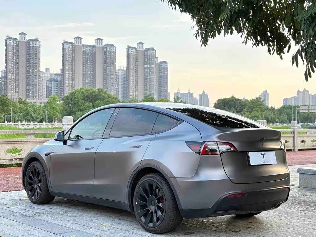 Tesla Model Y — миниатюра 7