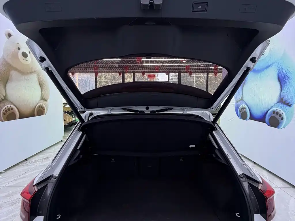 Volkswagen T-Roc — миниатюра 20
