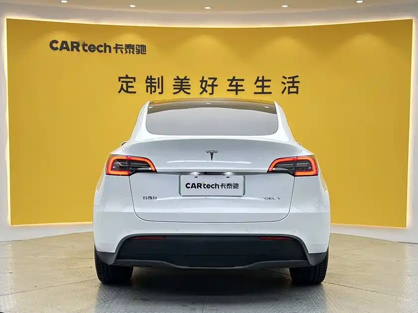 Tesla Model Y — миниатюра 4