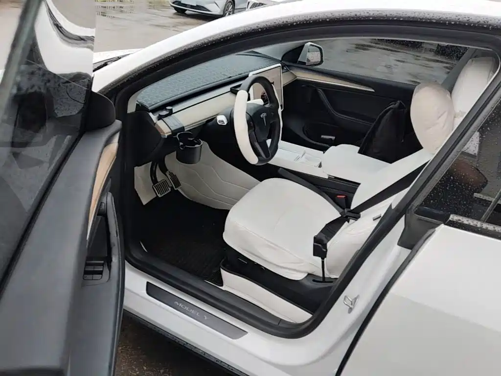 Tesla Model Y — миниатюра 16