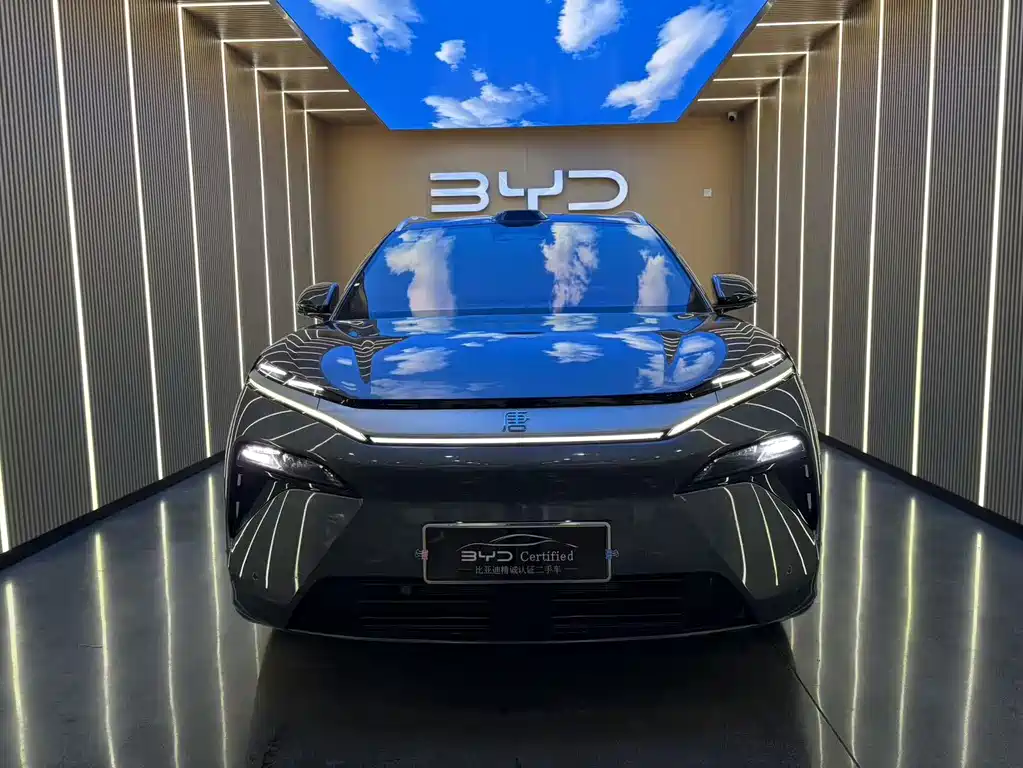 BYD Tang L — миниатюра 2