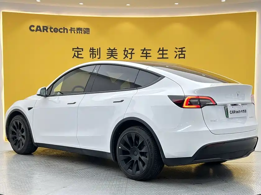 Tesla Model Y — миниатюра 5