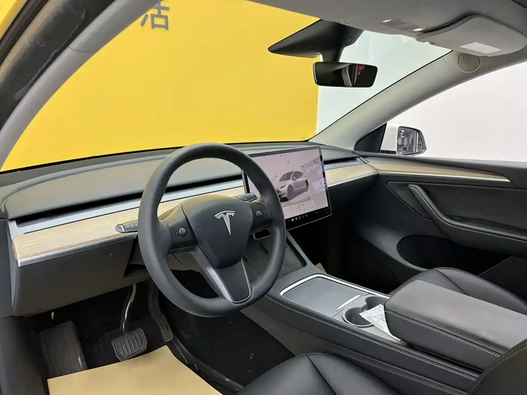 Tesla Model Y — миниатюра 30