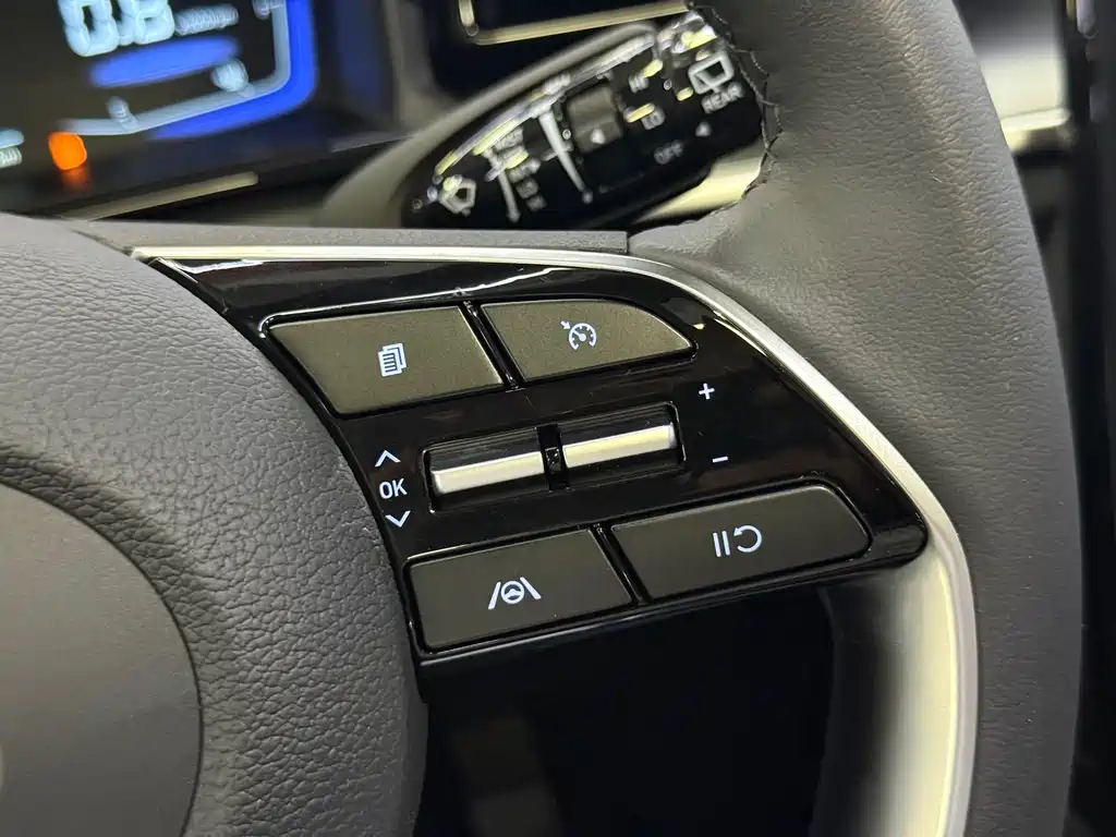 Hyundai Custo 270TGDi LUX Premium Edition, фото 11
