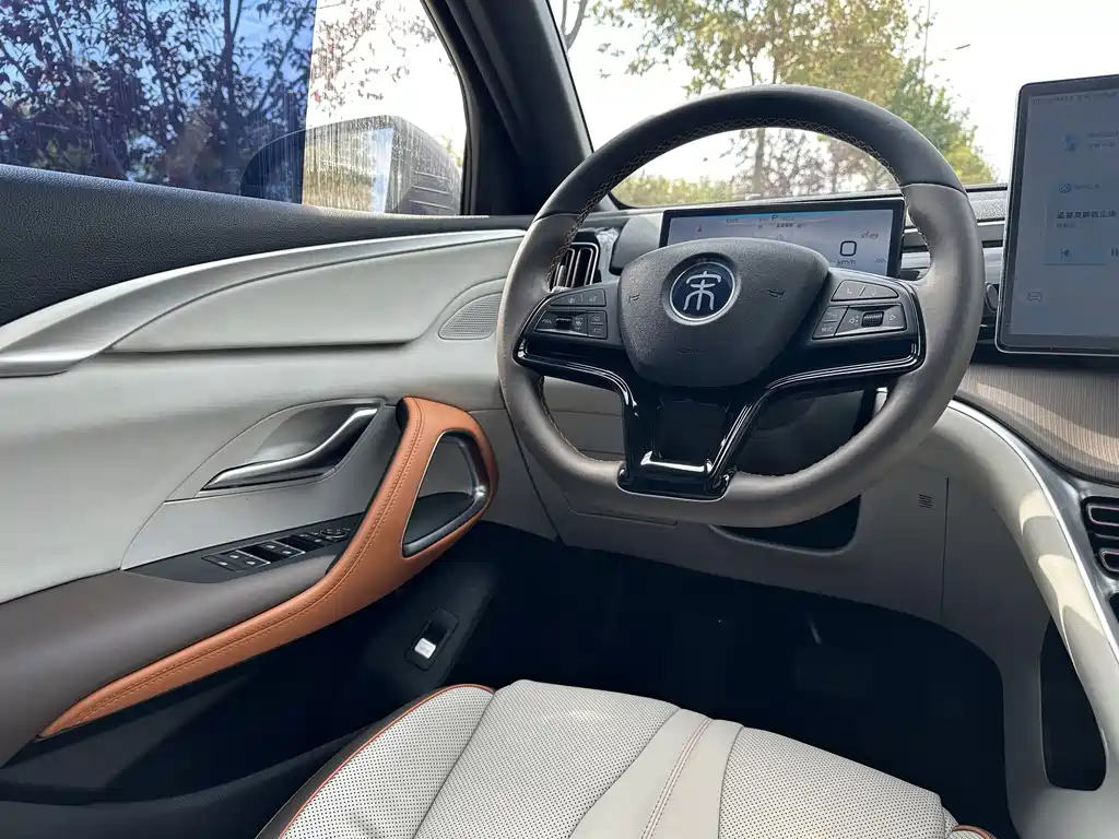 BYD Pro New Energy — миниатюра 13