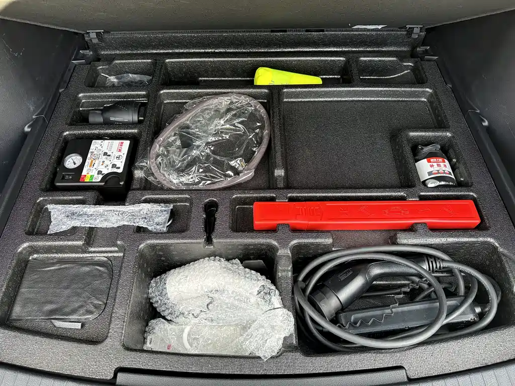 BYD Pro New Energy — миниатюра 24