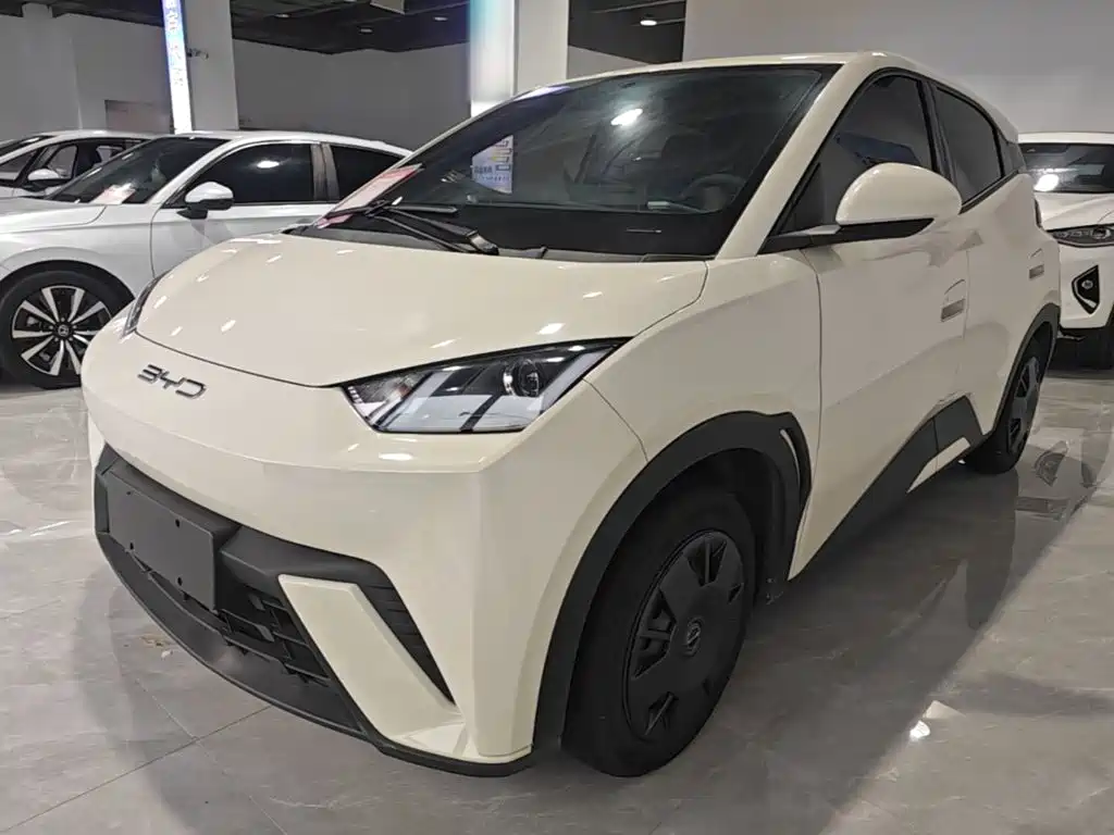 BYD Seagull