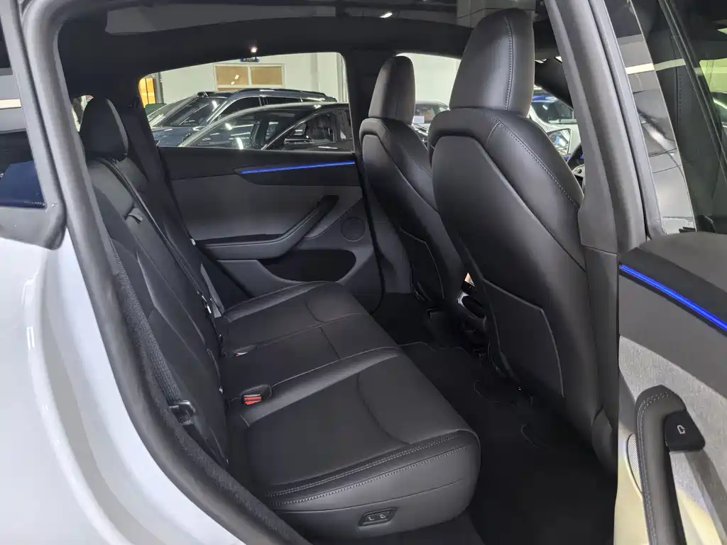 Tesla Model Y — миниатюра 8