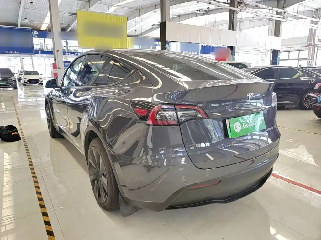 Tesla Model Y — миниатюра 5