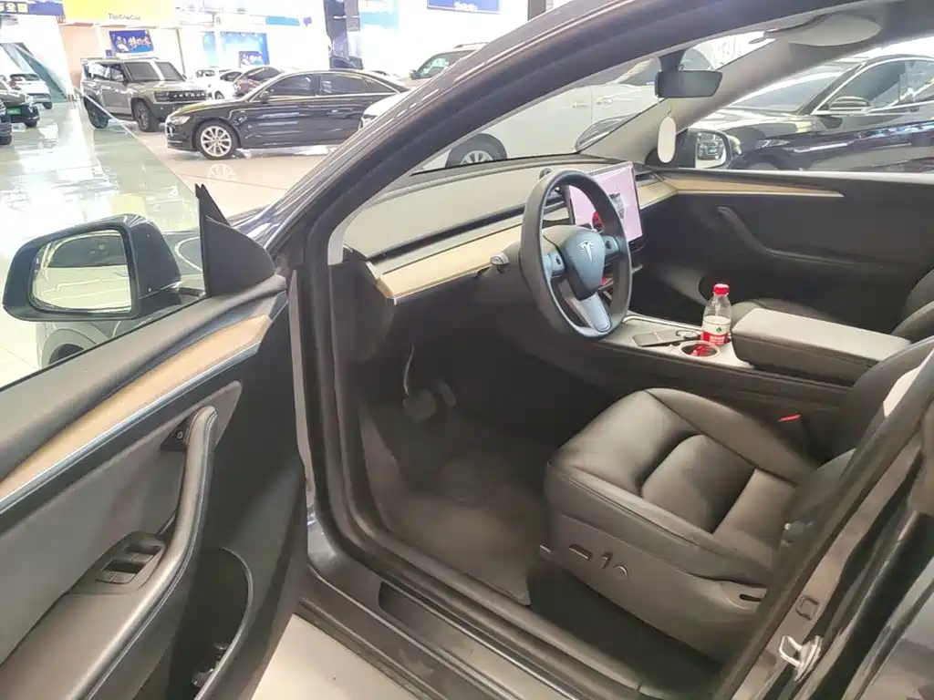 Tesla Model Y — миниатюра 16