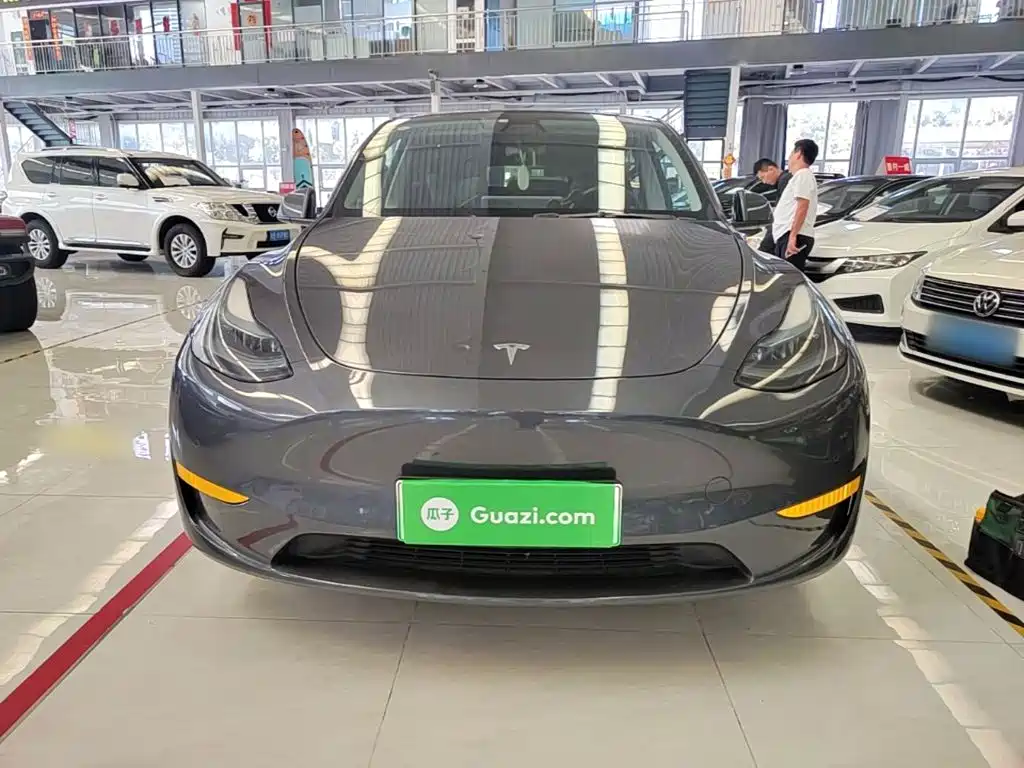 Tesla Model Y — миниатюра 3
