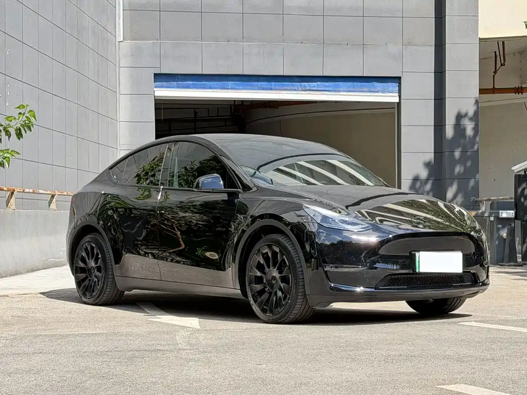 Tesla Model Y — миниатюра 3