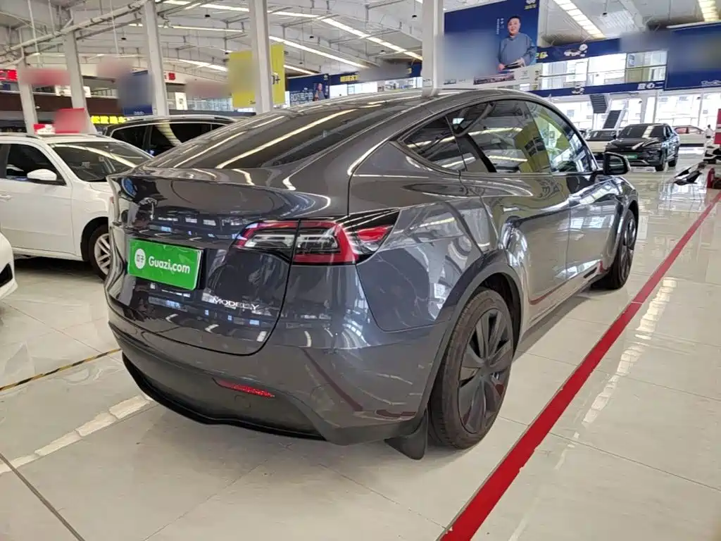 Tesla Model Y — миниатюра 7