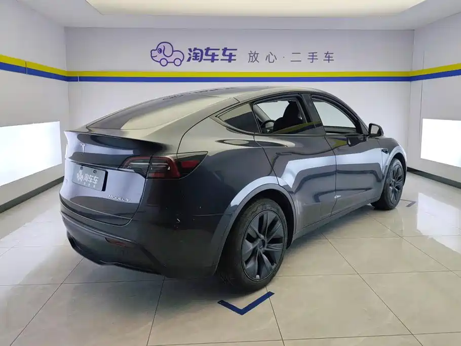 Tesla Model Y — миниатюра 3