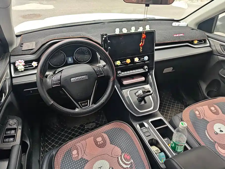 Haval M6 — миниатюра 11