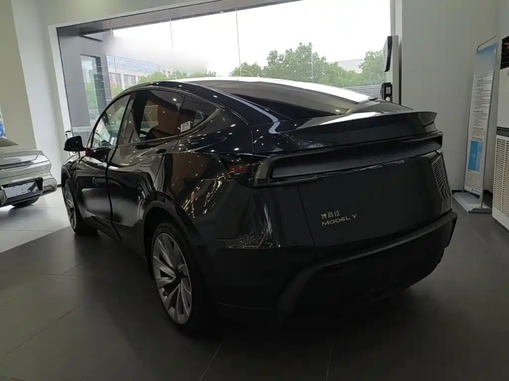 Tesla Model Y — миниатюра 5