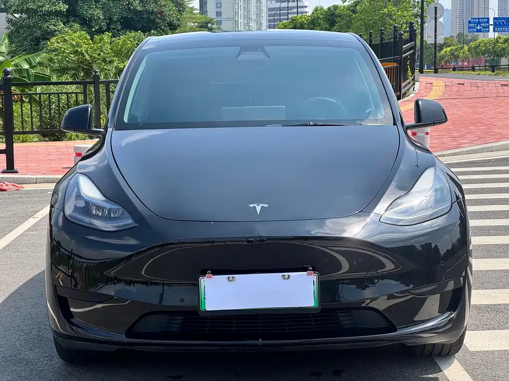 Tesla Model Y — миниатюра 2
