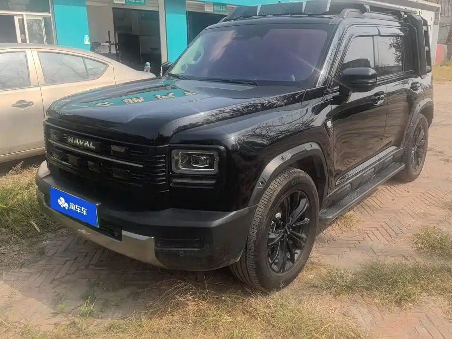 Haval Menglong New Energy — миниатюра 2