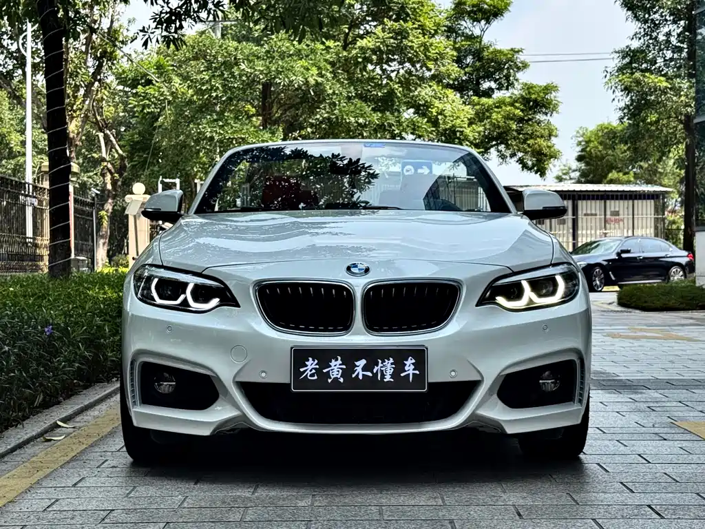 BMW 2 Series (Import) — миниатюра 3