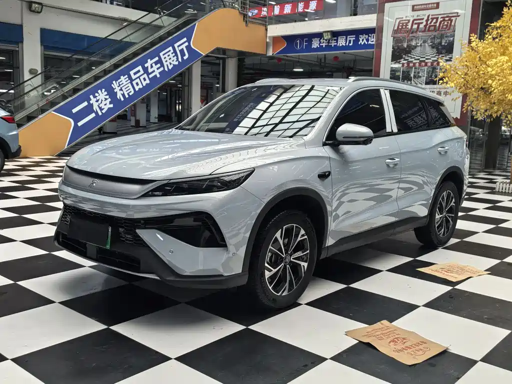 Byd Pro New Energy 2025