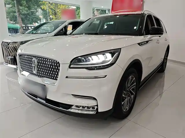 LINCOLN FLYING HOME 2023